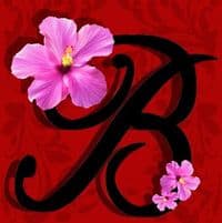 logo-pink