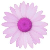 logo-pink
