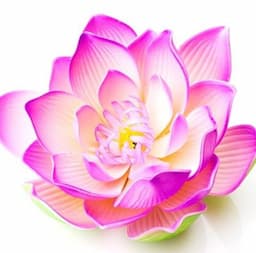logo-pink